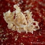 436205873_10225267636704675_6941921963723438017_n