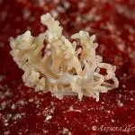 436205873_10225267636704675_6941921963723438017_n