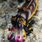 440115061_10225267636104660_3588889668780181561_n