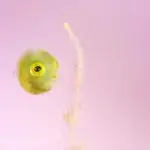 FB_IMG_1715941692241