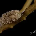 FB_IMG_1717713756654