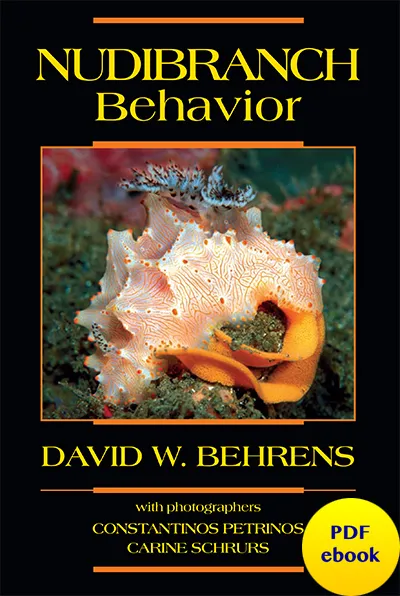 Nudibranch Behavior book cover