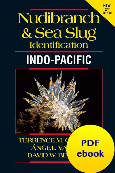 Nudibranch & Sea Slug Identification — Indo-Pacific, 2nd Edition book cover